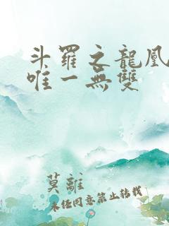 斗罗之龙凰传说唯一无双