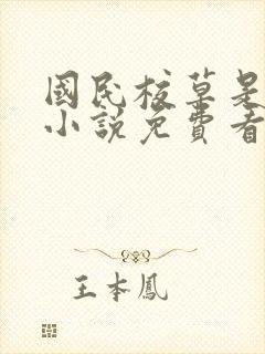 国民校草是女生小说免费看