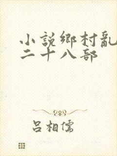 小说乡村乱情第二十八部