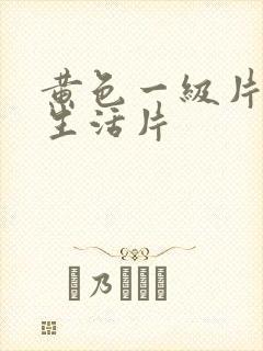 黄色一级片夫妻生活片