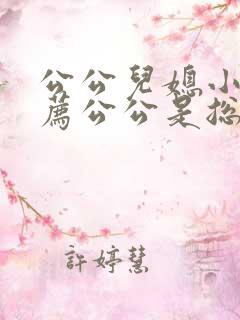 公公儿媳小说推荐公公是总裁儿媳是财务