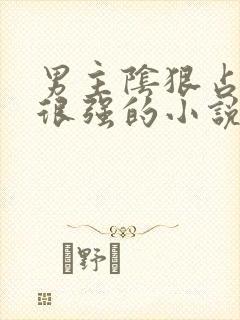 男主阴狠占有欲很强的小说