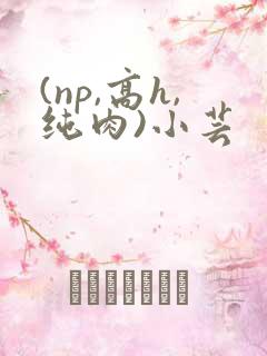 (np,高h,纯肉)小芸