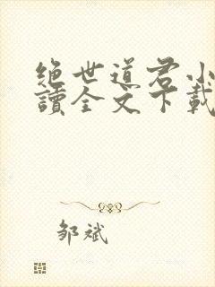 绝世道君小说阅读全文下载