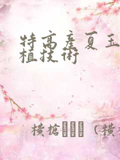 特高产夏玉米种植技术