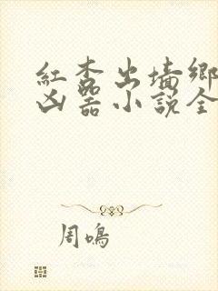 红杏出墙乡村大凶器小说全文阅读