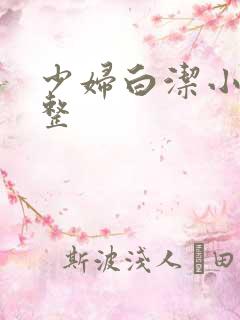 少妇白洁小说完整
