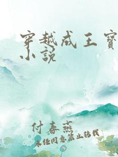 穿越成王宝钏的小说