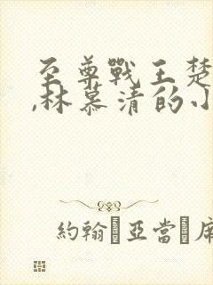 至尊战王楚凌天,林慕清的小说