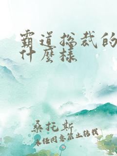 霸道总裁的爱是什么样