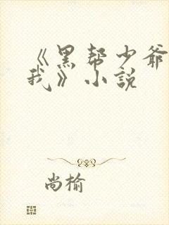 《黑帮少爷爱上我》小说
