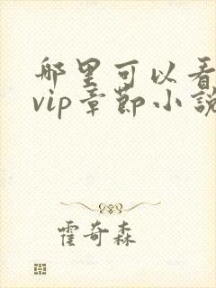 哪里可以看飞卢vip章节小说