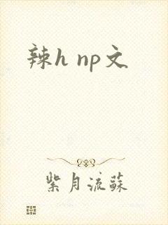 辣h np文