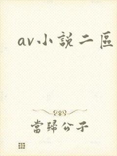 av小说二区