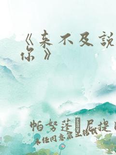 《来不及说我爱你 》