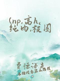 (np,高h,纯肉,校园