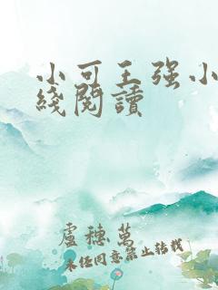 小可王强小说在线阅读