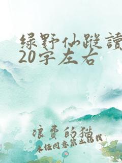 绿野仙踪读后感20字左右