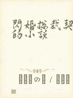 闪婚总裁契约妻的小说