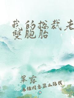 我的总裁老婆是双胞胎