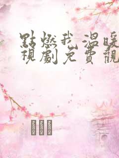 点燃我温暖你电视剧免费观看36集
