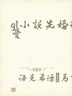 gl小说先婚后爱