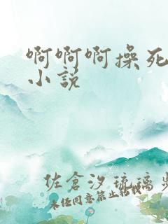 啊啊啊操死我了小说