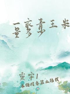 一亩青玉米能产量多少