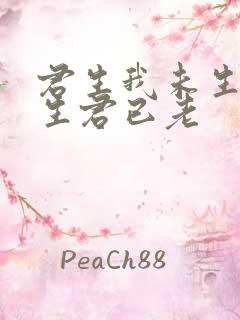 君生我未生 我生君已老