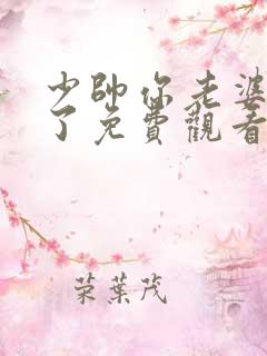 少帅你老婆又跑了免费观看完整版