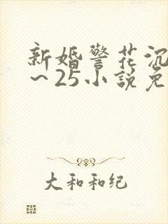 新婚警花沉沦1～25小说免费阅读