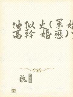 他似火(军婚 高干 婚恋)完结