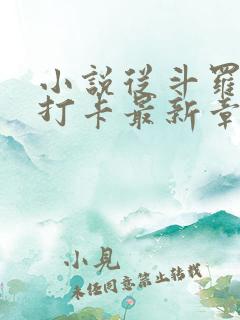 小说从斗罗开始打卡最新章节