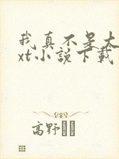 我真不是大佬txt小说下载