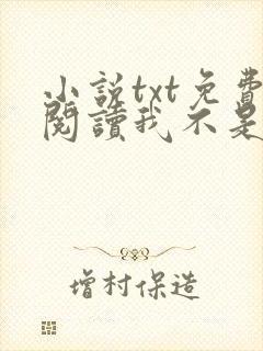 小说txt免费阅读我不是戏神