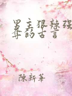 男主狠辣强取豪夺的古言