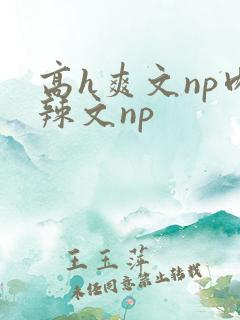 高h爽文np肉辣文np