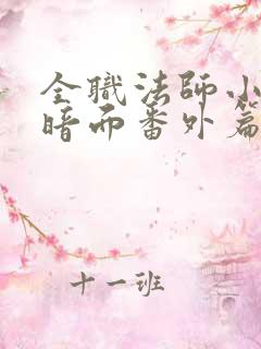 全职法师小说黑暗面番外篇