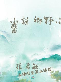 小说 乡野小傻医