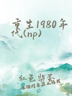 重生1980年代(np)