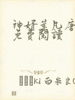 神婿叶凡唐若雪免费阅读