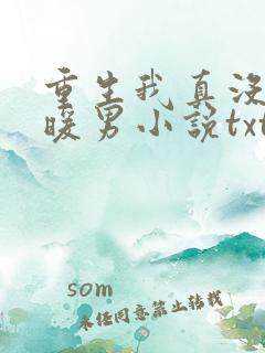 重生我真没想当暖男小说txt