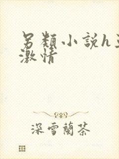 另类小说h亚洲激情