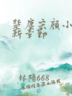 楚尘宋颜小说最新章节