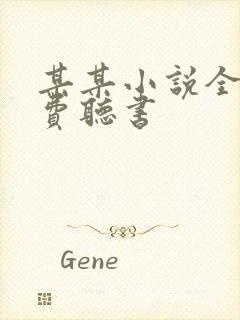 某某小说全集免费听书