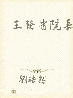 王发省院长