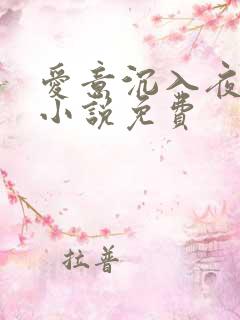 爱意沉入夜的海小说免费