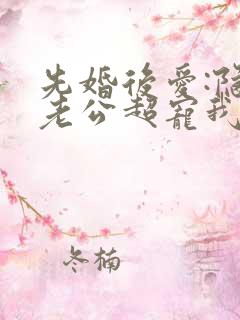 先婚后爱:隐婚老公超宠我
