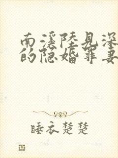 南溪陆见深陆少的隐婚罪妻