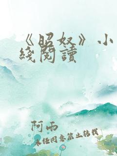 《昭奴》小说在线阅读